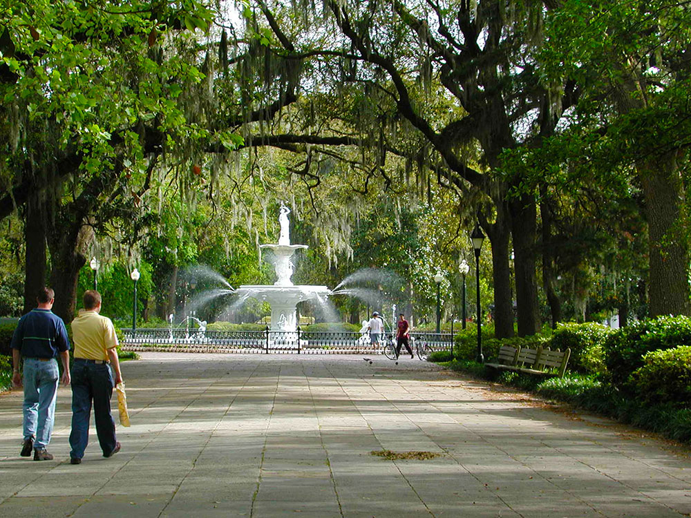 forsyth-park-tree