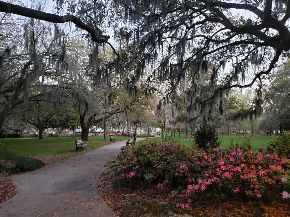 forsyth-park-moss-trees