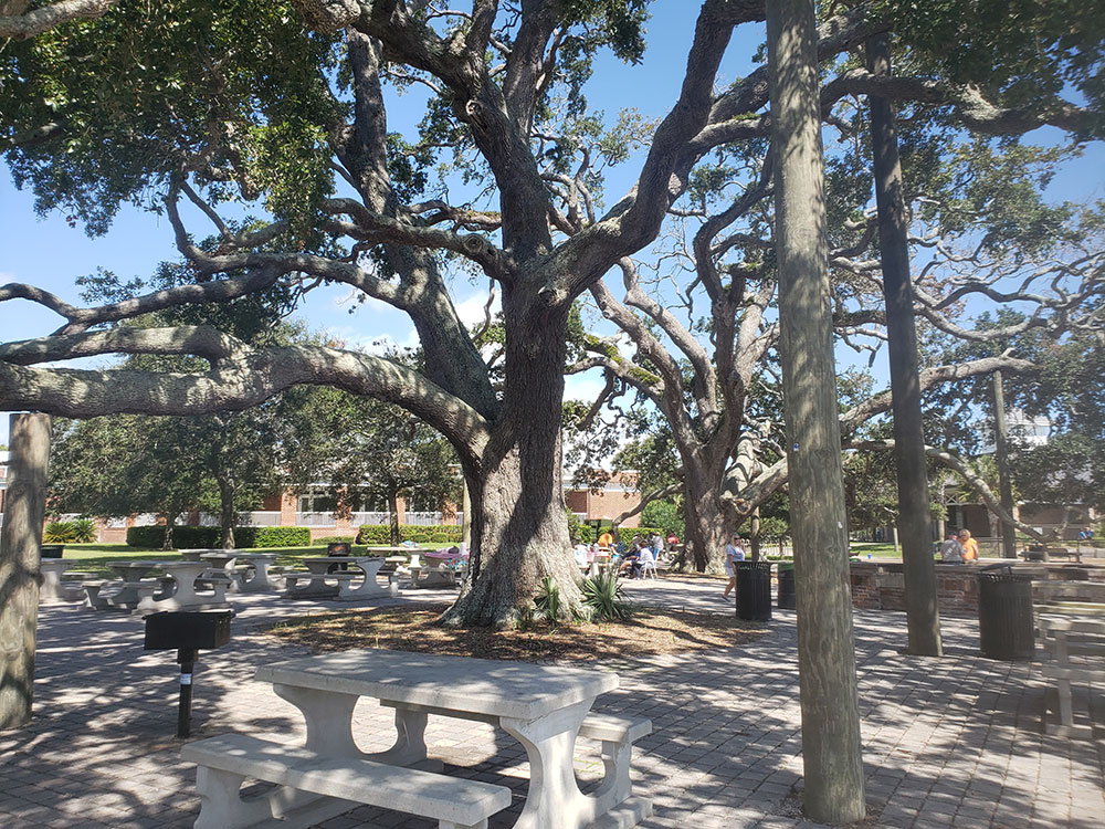 bonaventure-cemetery-walking-path