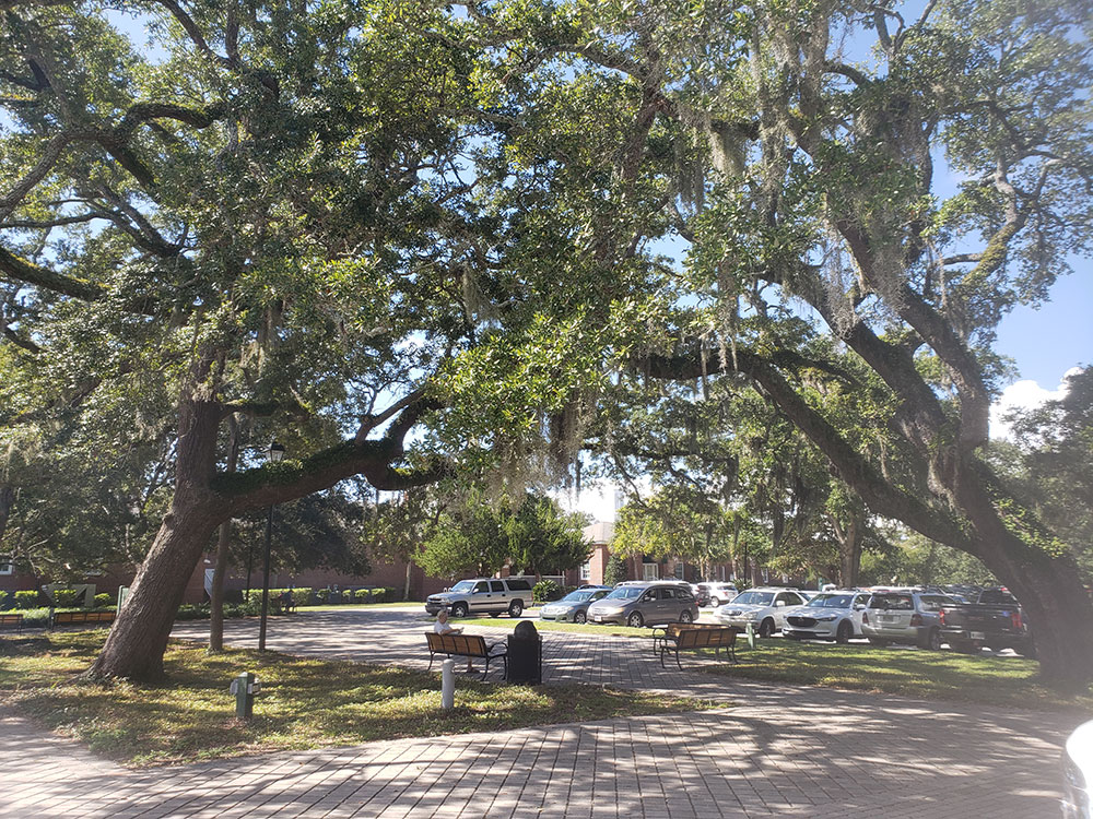 bonaventure-cemetery-moss-walkway