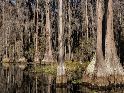 Great Smoky Mountains National Park Chimney Tops Trail
