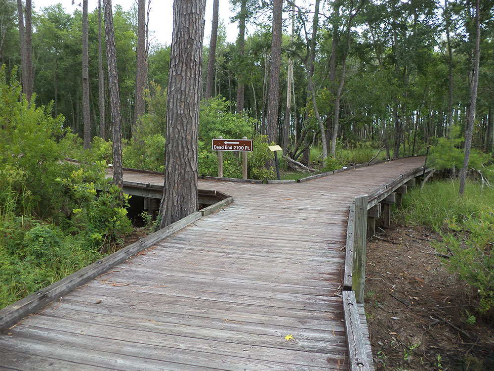 bonaventure-cemetery-flowers