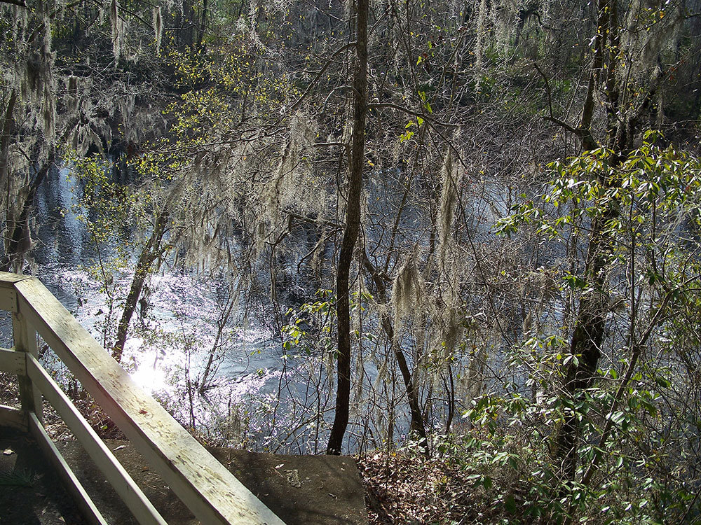 bonaventure-cemetery-moss-walkway