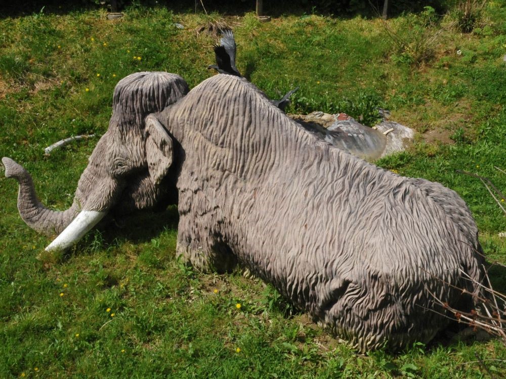 Black Mountain Kentucky High Point Plaque