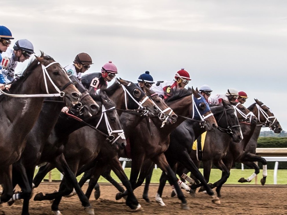 Black Mountain Kentucky High Point Plaque