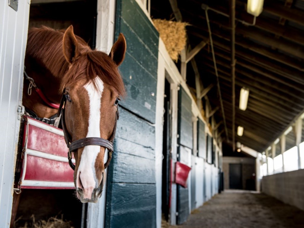 Black Mountain Kentucky High Point Sign