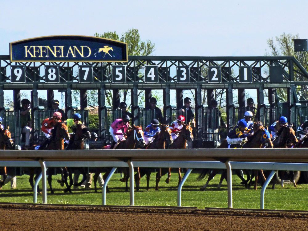 Black Mountain Kentucky High Point Sign