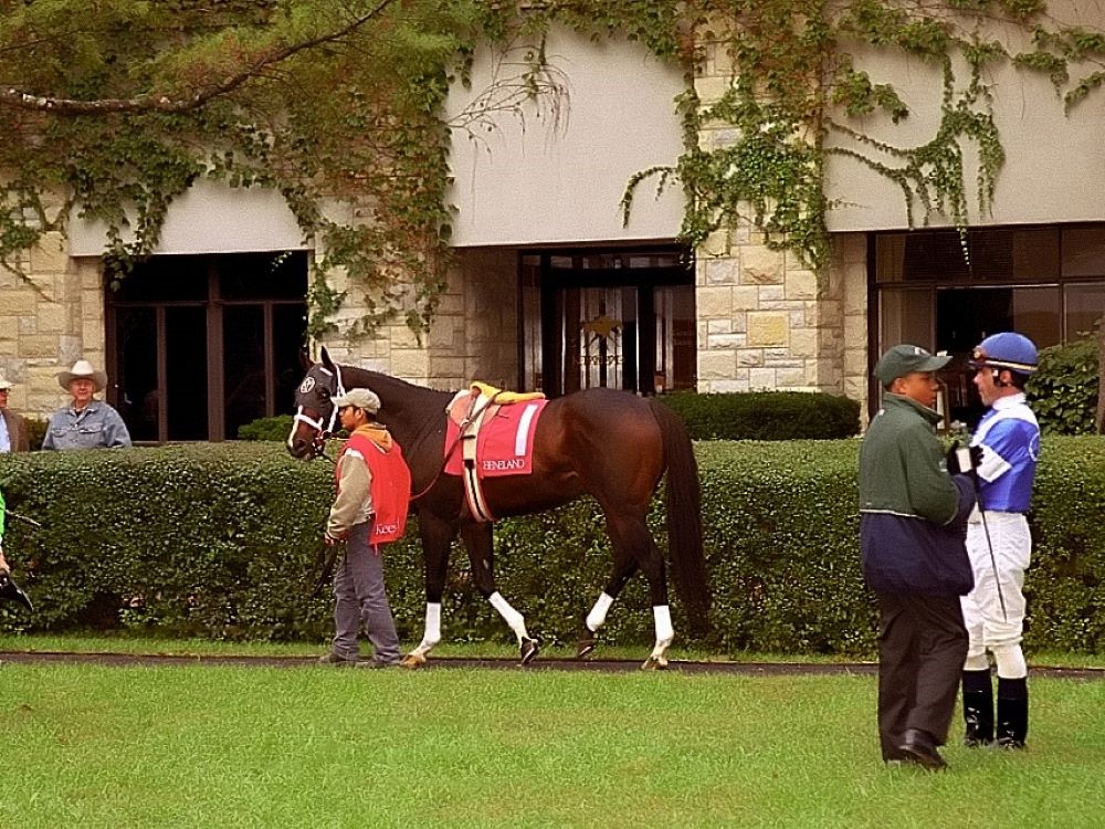 Black Mountain Kentucky High Point Sign