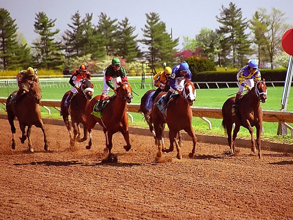 Black Mountain Kentucky High Point Sign