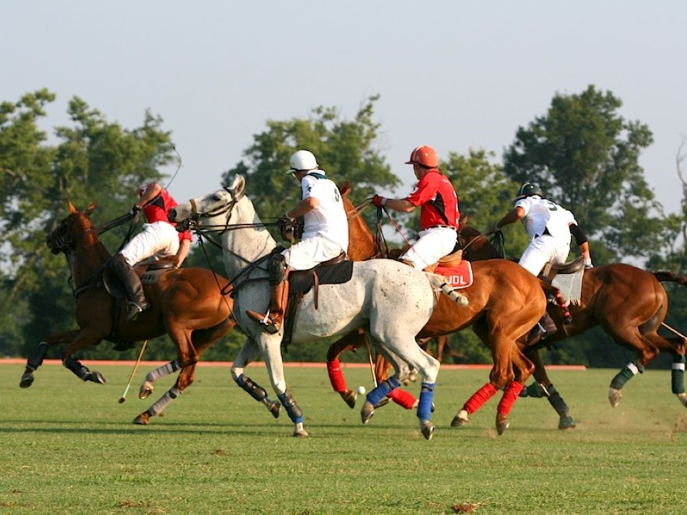 Black Mountain Kentucky High Point Sign