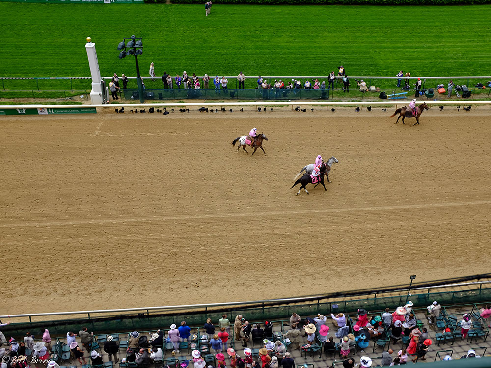 Black Mountain Kentucky High Point Sign