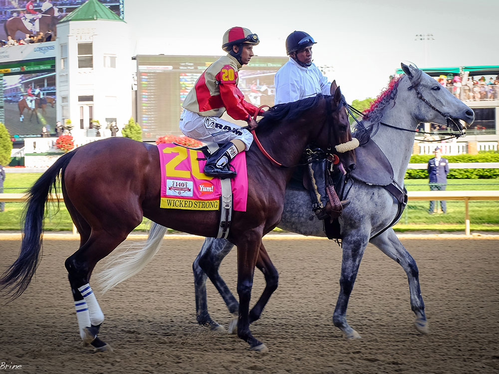 Black Mountain Kentucky High Point Sign