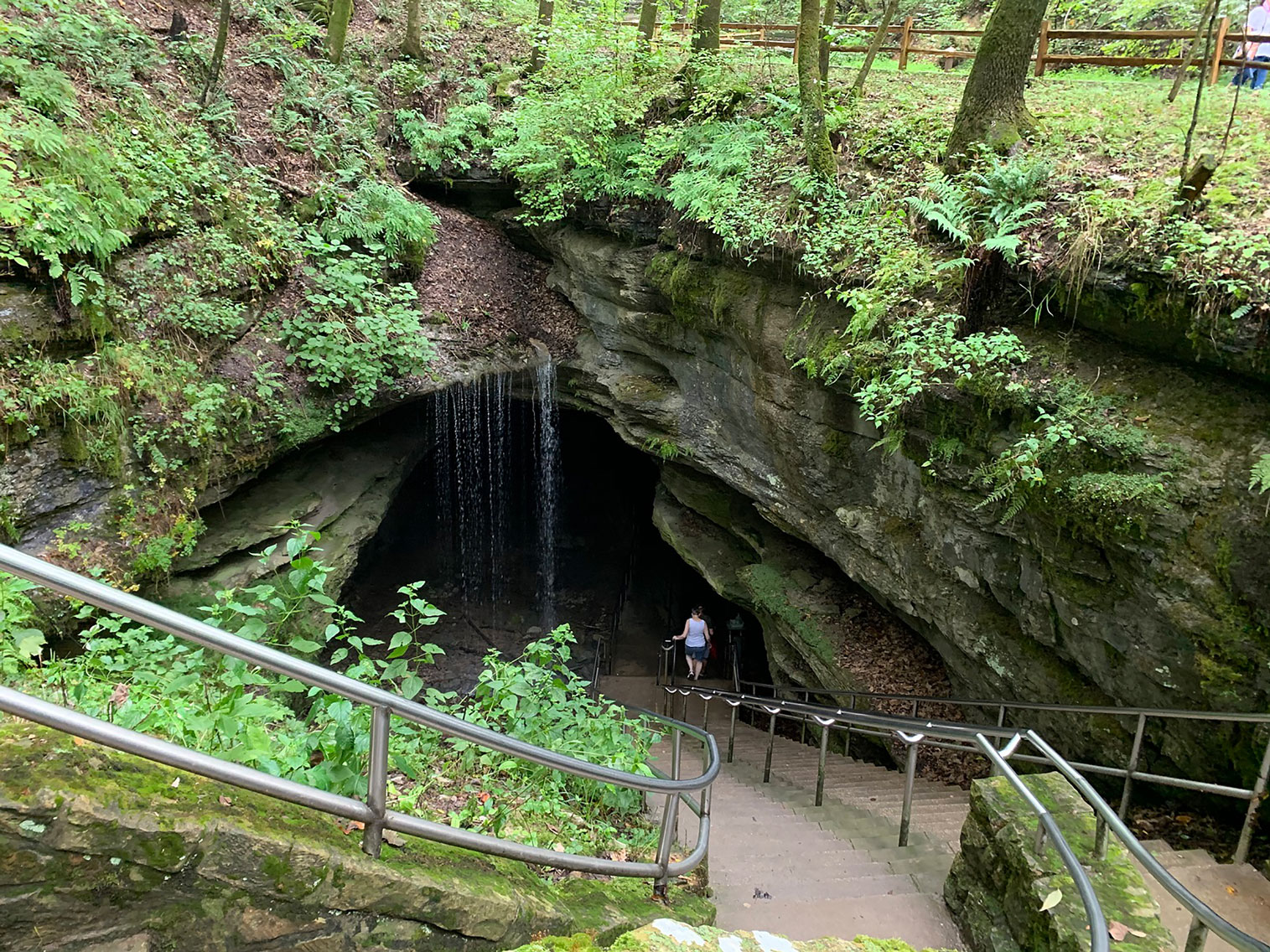 Mammoth Cave National Park