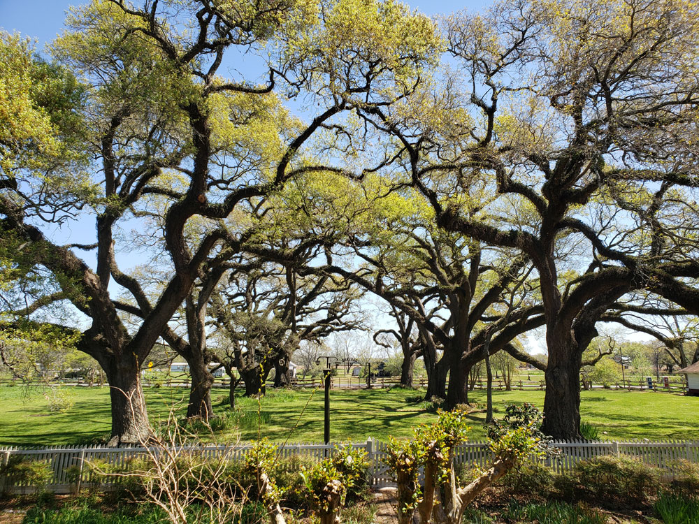 cane-river-creole-heritage-nhp