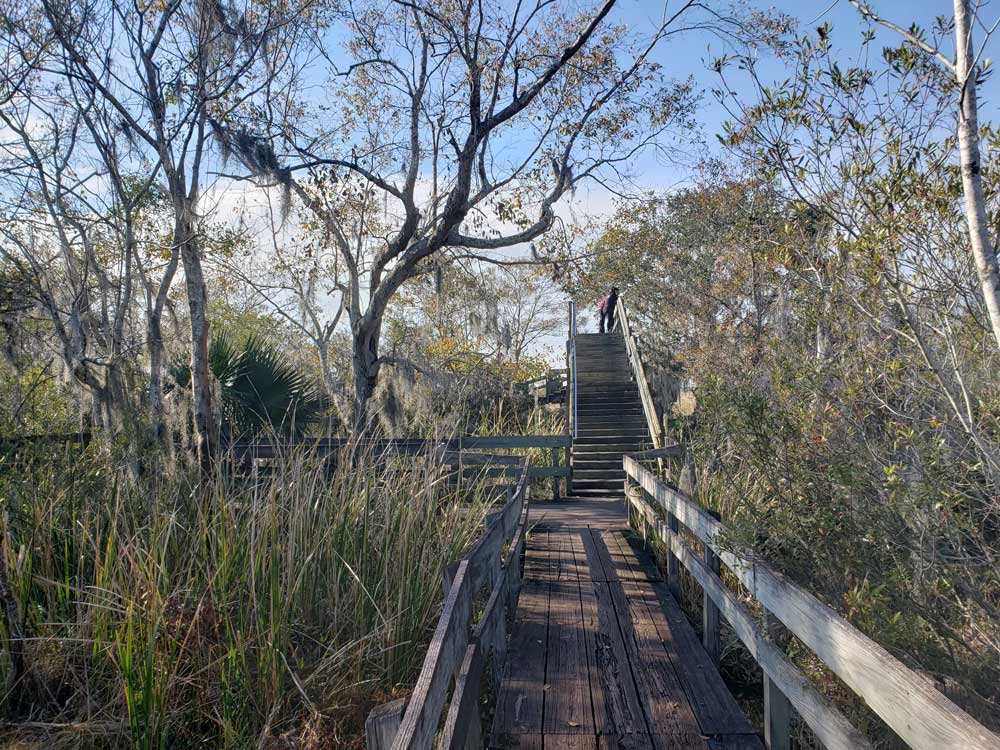  />
            <figcaption class=