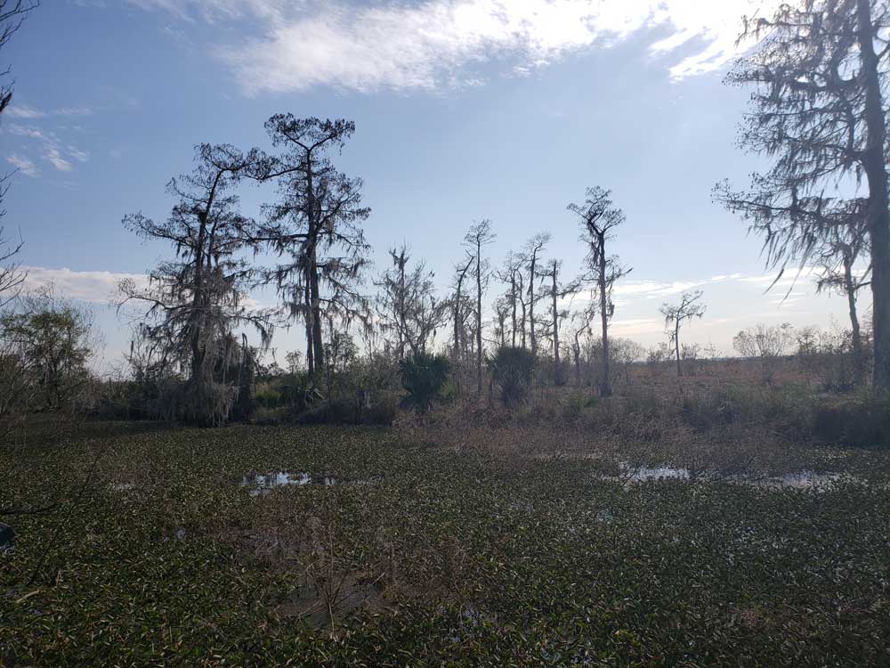  />
            <figcaption class=