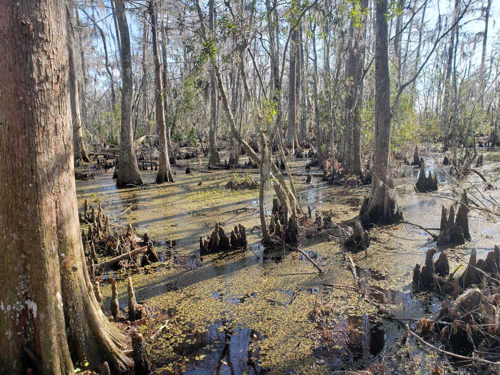 />
<figcaption class=