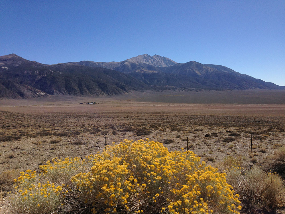 Boundary Peak and Montgomery Peak viewed from US-6 in the White Mountains of Nevada and California