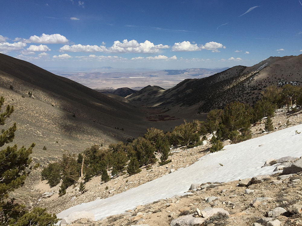 View east down Trail Canyon near Trail Canyon Saddle in Boundary Peak Wilderness Nevada