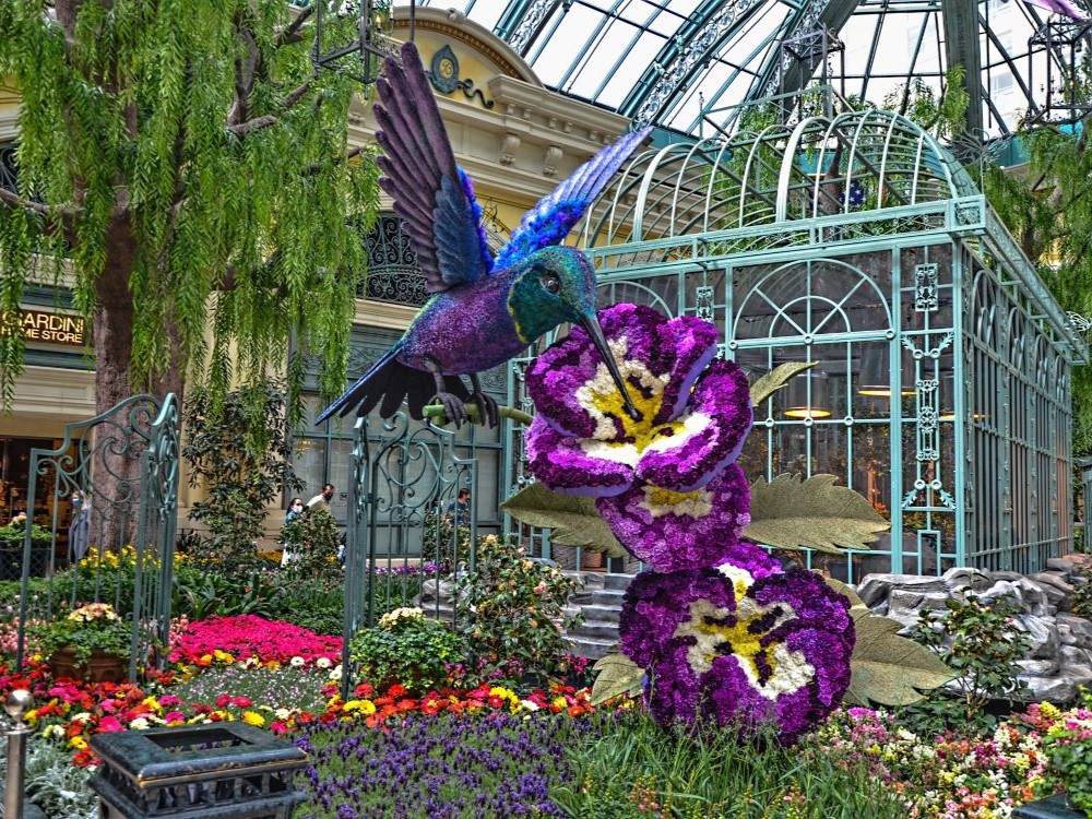 Bellagio Conservatory Spring Celebration floral display, Las Vegas, Nevada