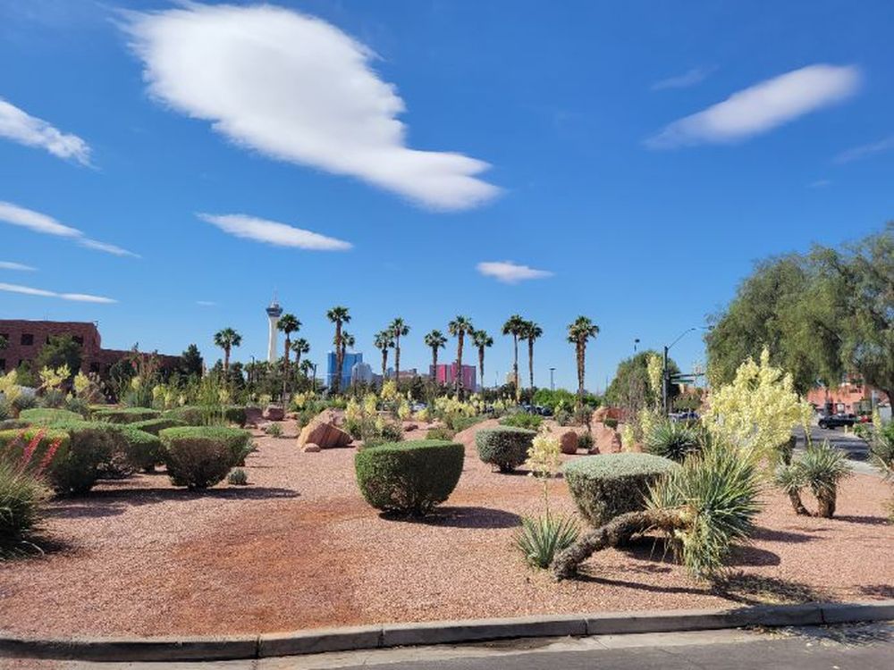 Landscaped garden courtyard at Clark County Government Center, Las Vegas, Nevada