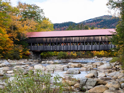 Badlands Bighorn Sheep Sage Creek Road