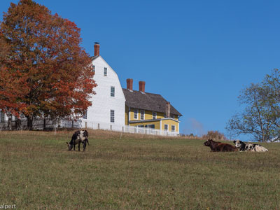 Canterbury Shaker Village, New Hampshire
