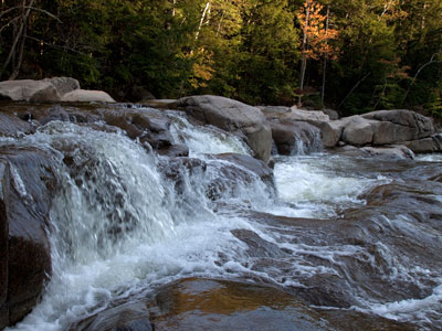 Badlands Bighorn Sheep Sage Creek Road