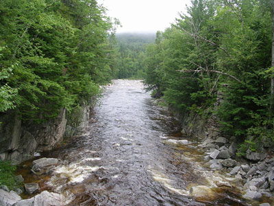 Badlands Bighorn Sheep Sage Creek Road