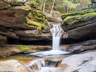 Badlands Bighorn Sheep Sage Creek Road