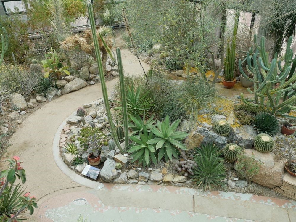 ABQ BioPark Botanic Garden plants and scenery, Albuquerque, New Mexico