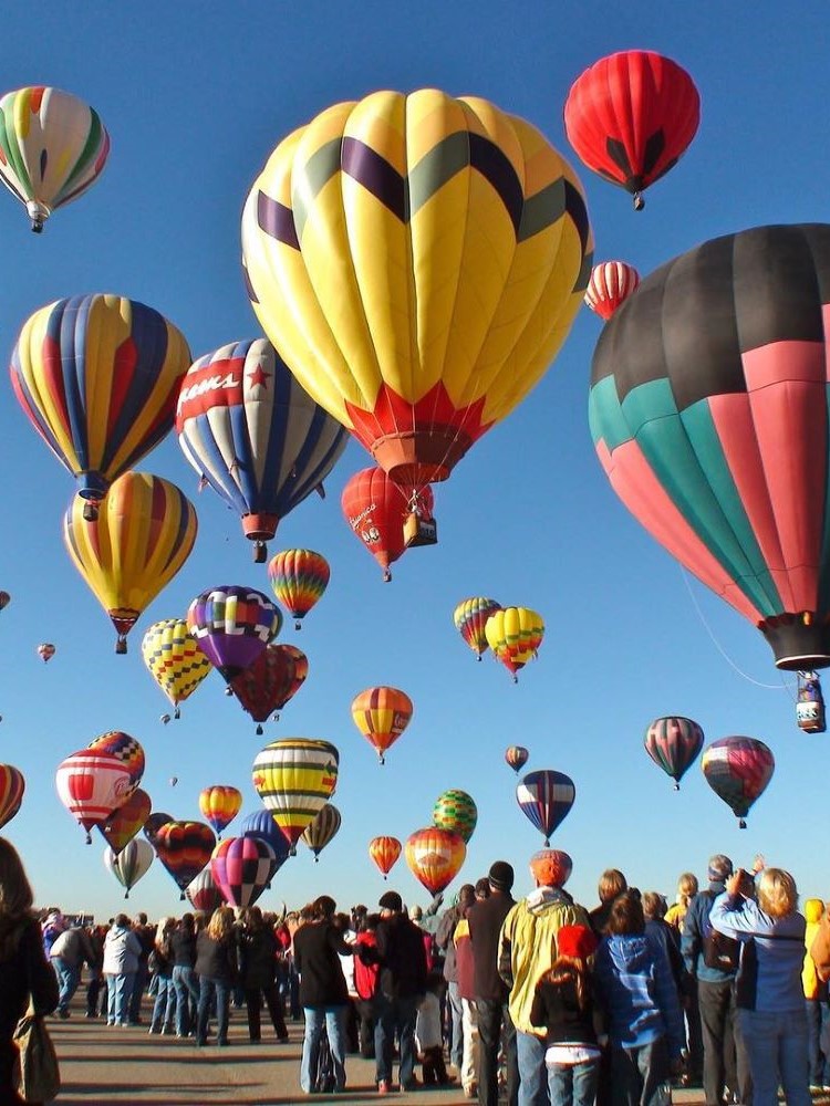 Colorful hot air balloons at 2009 Albuquerque International Balloon Fiesta, New Mexico