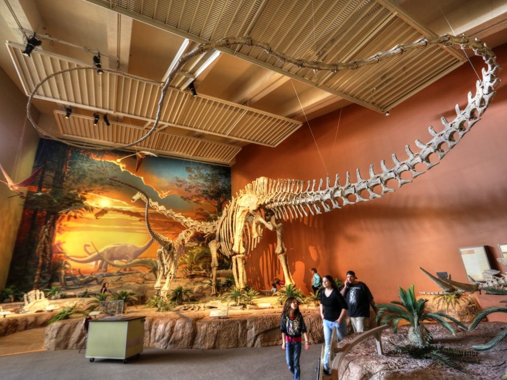 Diplodocus tail fossil exhibit at the New Mexico Museum of Natural History and Science, Albuquerque, New Mexico