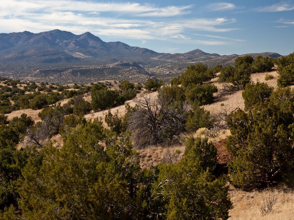 Cerrillos Hills State Park landscape, New Mexico