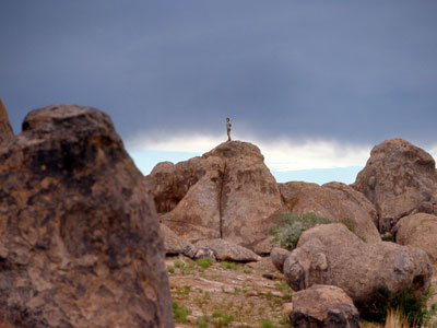 Large sculptured volcanic rock pinnacles rising above the desert floor at City of Rocks State Park, New Mexico