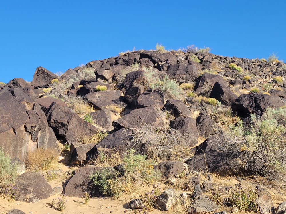 Basalt rock escarpment covered with ancient petroglyphs at Petroglyph National Monument, New Mexico