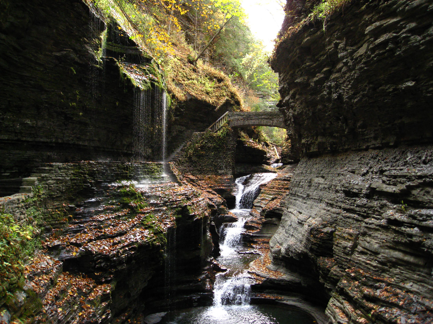 Mammoth Cave National Park