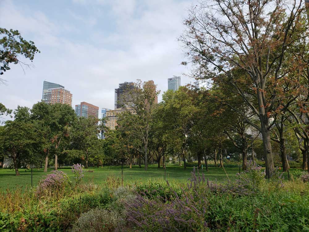 Battery City Backdrop