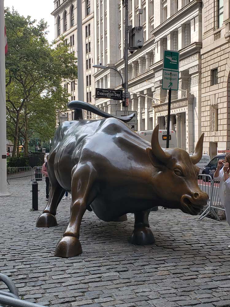 Charging Bull