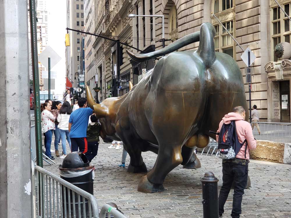 Charging Bull Rear