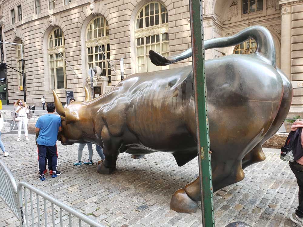 Charging Bull Side