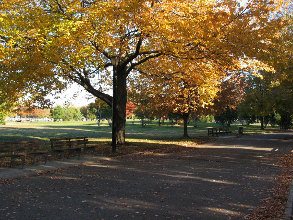 Battery Garden and Carousel