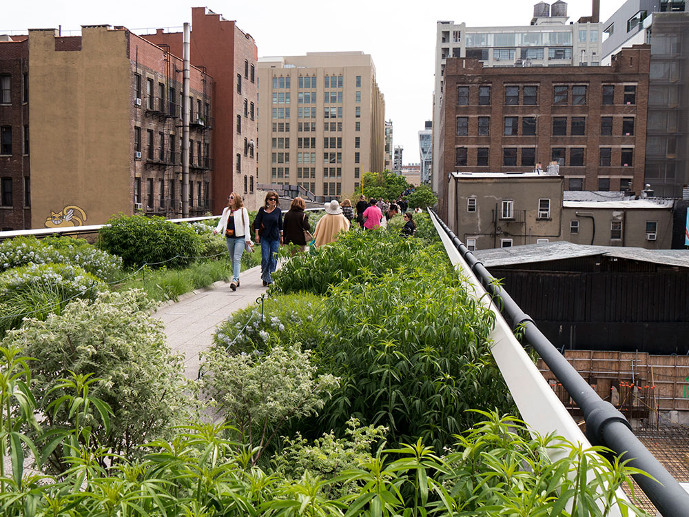 The High Line Walkway