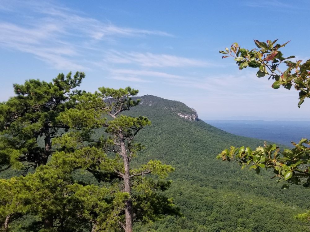 mt-mitchell-summit-view