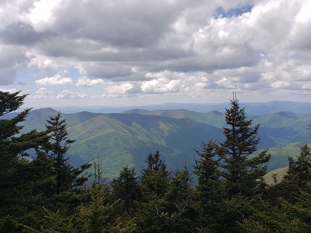 mt-mitchell-summit-view
