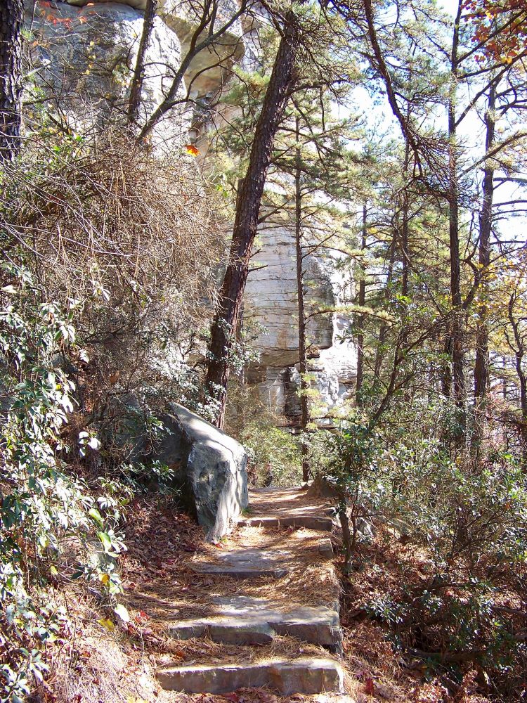 mt-mitchell-walkway