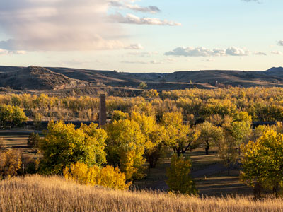 Badlands Bighorn Sheep Sage Creek Road