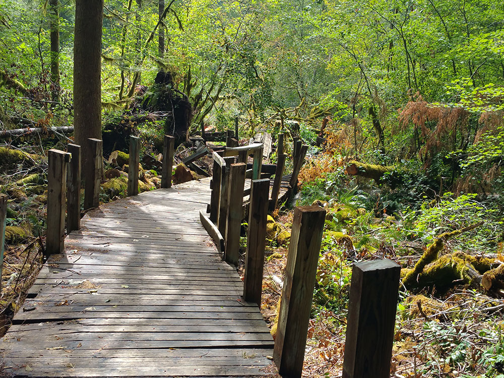 Crater Lake Observation Deck