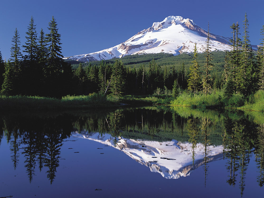 Crater Lake Observation Deck