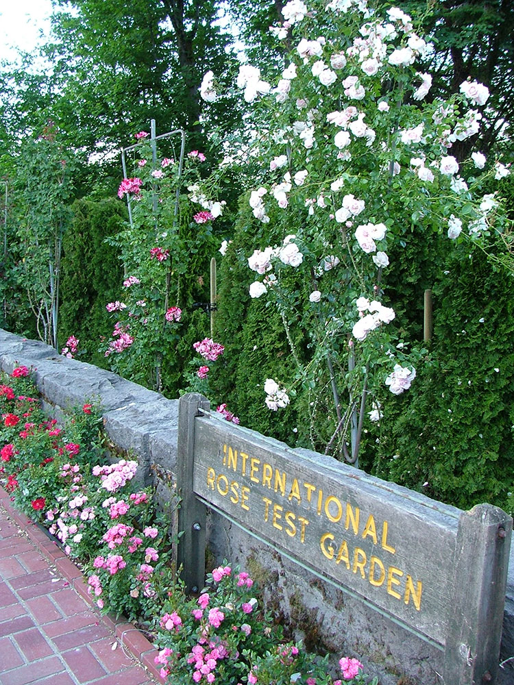 Wall Drug Entrance